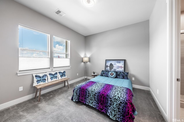3028 Amethyst Hills Dr, Reno, NV 89521 - photo 25