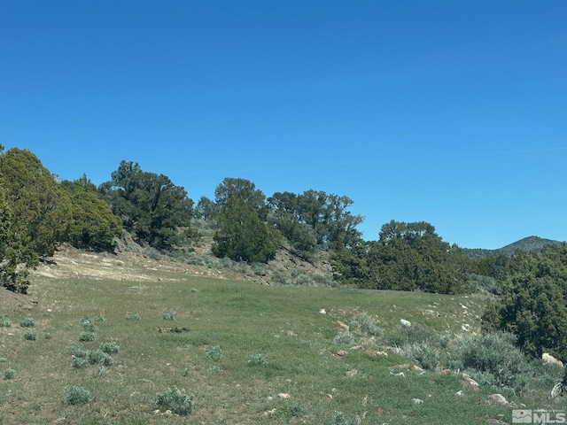 4490 Lousetown Rd, Reno, NV 89521