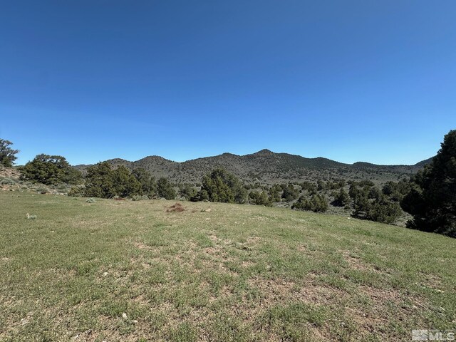 4490 Lousetown Rd, Reno, NV 89521