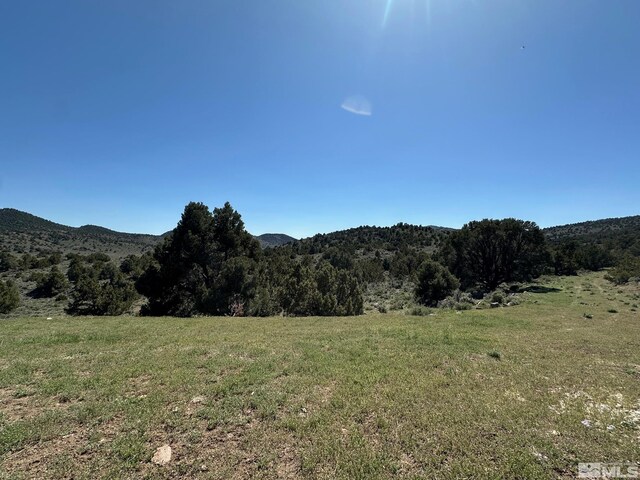 4490 Lousetown Rd, Reno, NV 89521