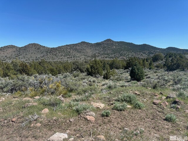 4490 Lousetown Rd, Reno, NV 89521