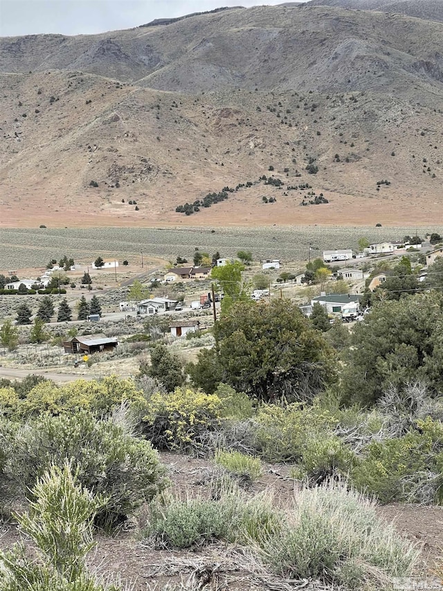 1280 Spattercone Rd, Wellington, NV 89444