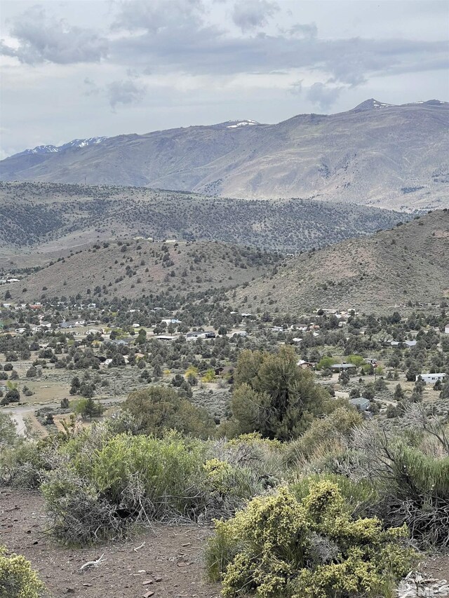 1280 Spattercone Rd, Wellington, NV 89444