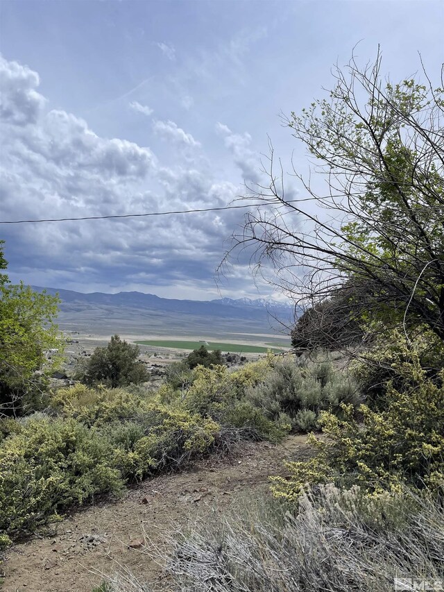 1280 Spattercone Rd, Wellington, NV 89444