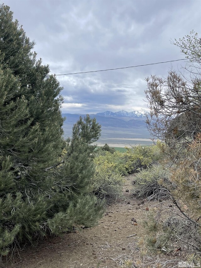 1280 Spattercone Rd, Wellington, NV 89444