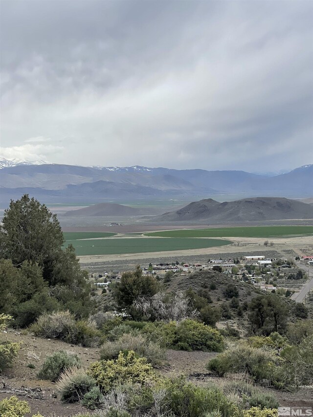 1280 Spattercone Rd, Wellington, NV 89444