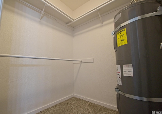 2375 Tripp Dr # 10, Reno, NV 89512 - spacious closet with strapped water heater and carpet flooring