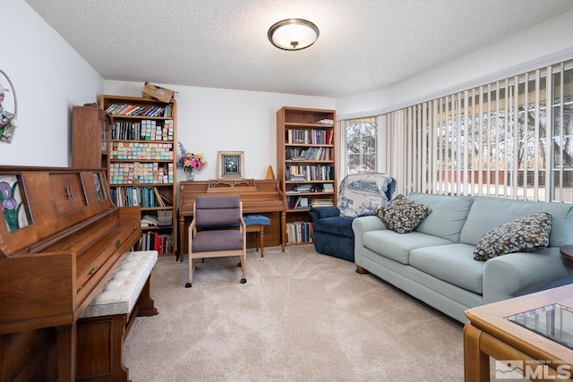 930 Edgewater, Fallon, NV 89406 - living area with a textured ceiling and carpet