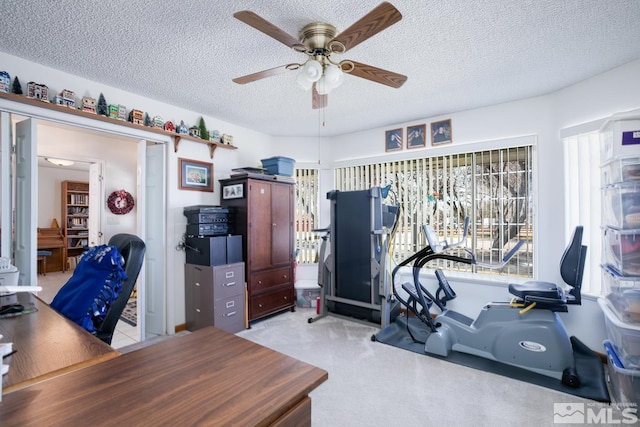 930 Edgewater, Fallon, NV 89406 - carpeted office featuring ceiling fan and a textured ceiling