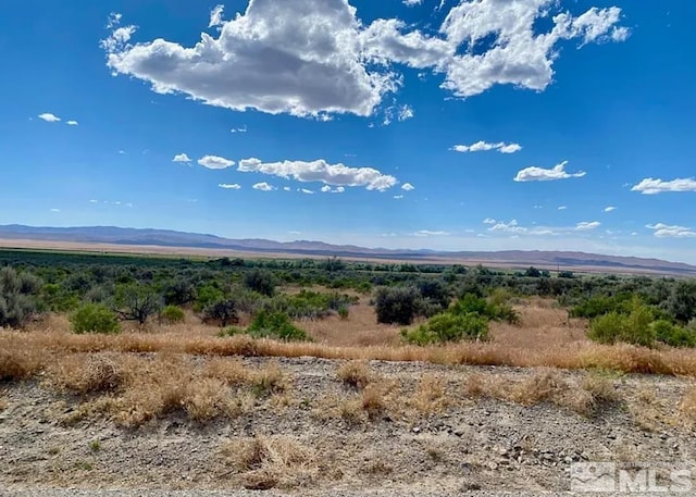 22170 Callaway Dr, Lovelock, NV 89419