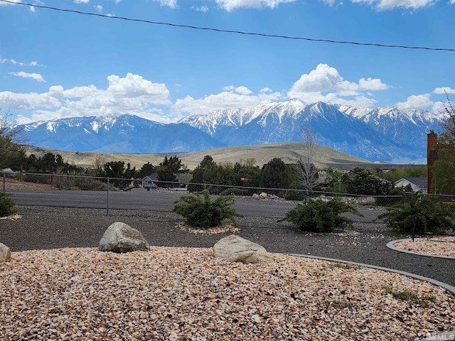 629 Thorobred Ave, Gardnerville, NV 89410