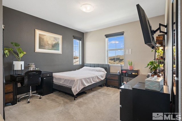 2449 Butte Creek Dr, Sparks, NV 89436 - bedroom featuring light carpet and a desk