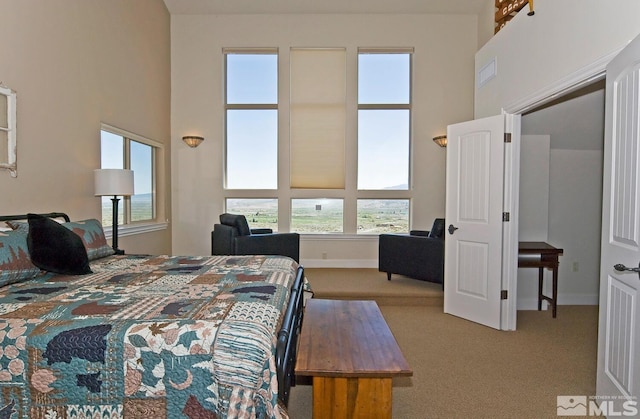 295 Hawkins Peak Rd, Woodfords, CA 96120 - photo 24