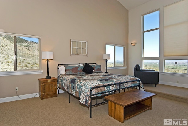 295 Hawkins Peak Rd, Woodfords, CA 96120 - photo 25