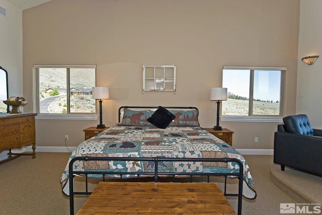 295 Hawkins Peak Rd, Woodfords, CA 96120 - photo 26