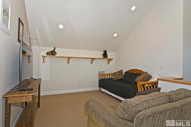 295 Hawkins Peak Rd, Woodfords, CA 96120 - photo 32
