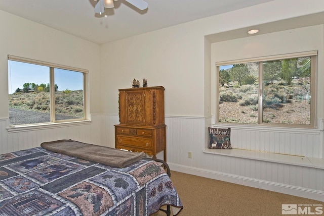 295 Hawkins Peak Rd, Woodfords, CA 96120 - photo 34
