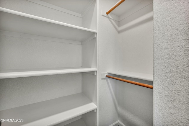 8853 Finnsech, Reno, NV 89506 - view of spacious closet