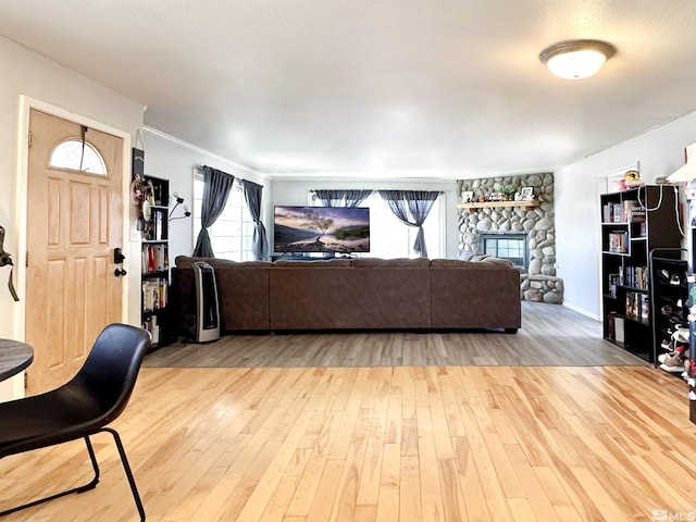 living room featuring a fireplace and wood finished floors