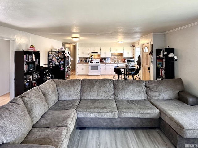 living room with light wood-type flooring