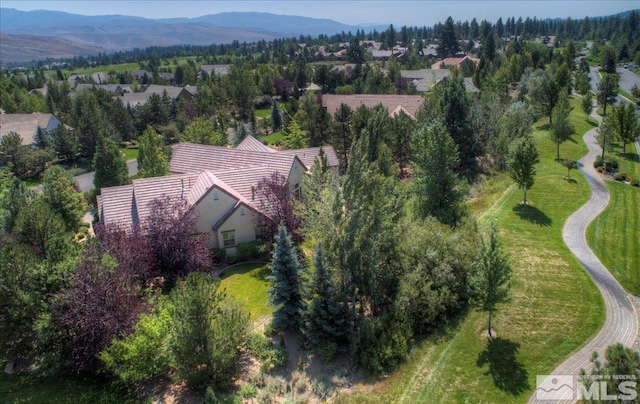 16925 Rue Du Parc, Reno, NV 89511 - photo 5