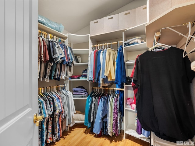 137 Desert Lakes Dr, Fernley, NV 89408 - walk in closet with lofted ceiling and wood finished floors