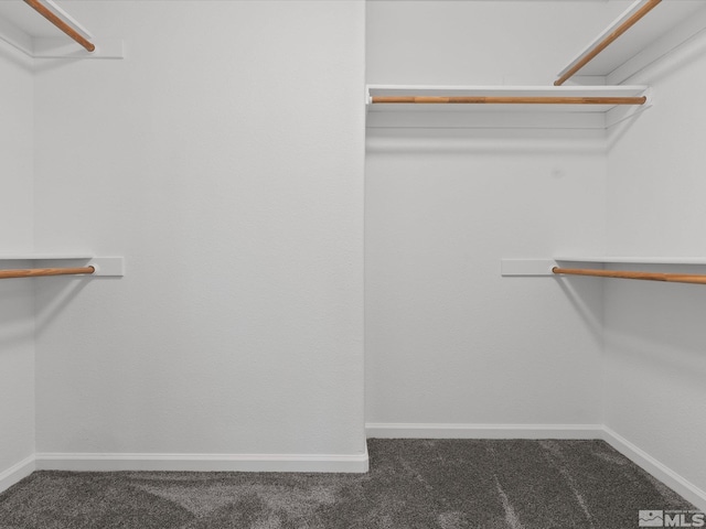 1820 Bogie Ct, Fernley, NV 89408 - walk in closet with carpet flooring
