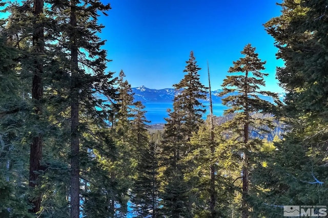 758 Milky Way Ct Unit E, Stateline, NV 89449 - mountain view with a forest