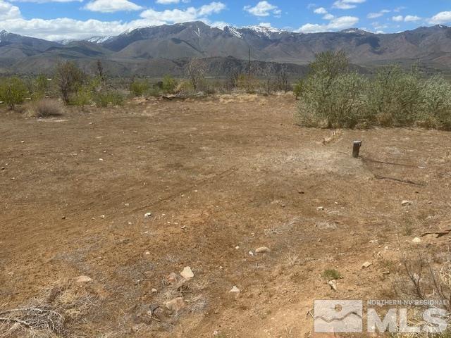 865 Eastside Rd, Coleville, CA 96107 - photo 3