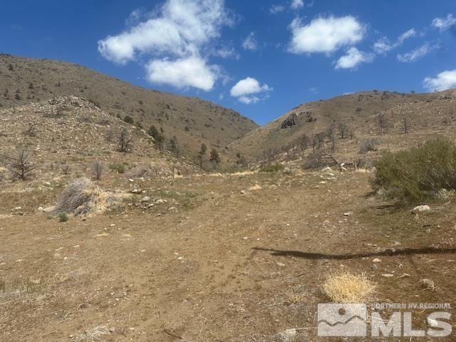 865 Eastside Rd, Coleville, CA 96107 - photo 4