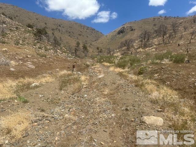 865 Eastside Rd, Coleville, CA 96107 - photo 5