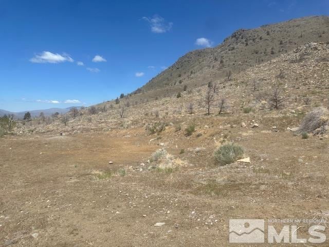 865 Eastside Rd, Coleville, CA 96107 - photo 6