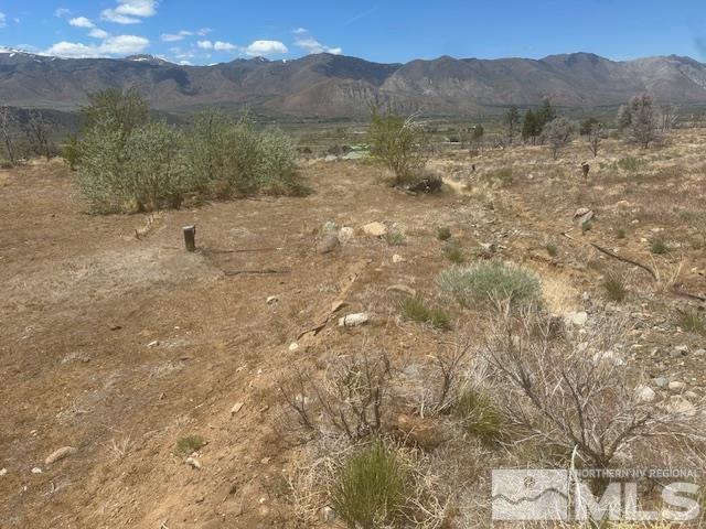 865 Eastside Rd, Coleville, CA 96107 - photo 7