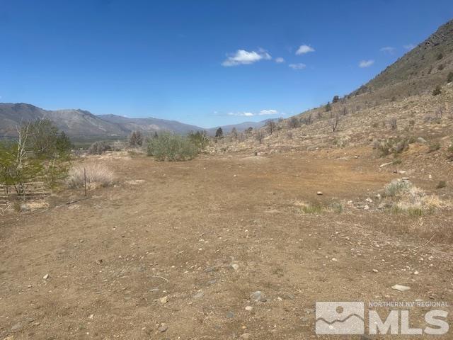 865 Eastside Rd, Coleville, CA 96107 - photo 9