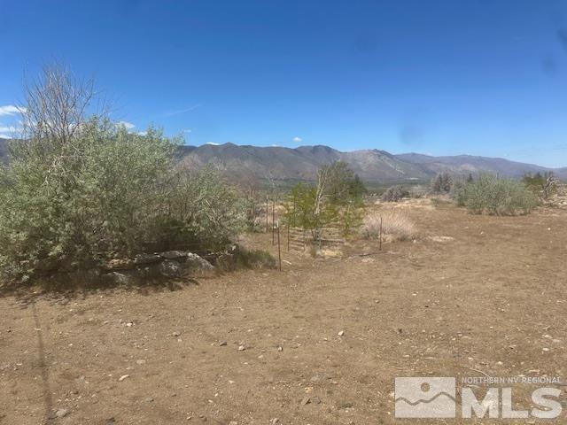 865 Eastside Rd, Coleville, CA 96107 - photo 10