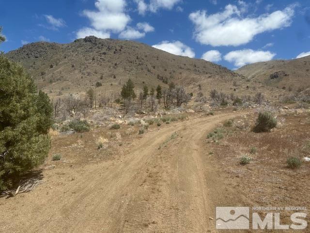 865 Eastside Rd, Coleville, CA 96107 - photo 13