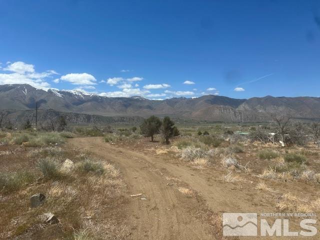 865 Eastside Rd, Coleville, CA 96107 - photo 14