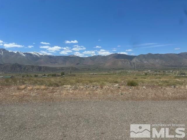865 Eastside Rd, Coleville, CA 96107 - photo 16