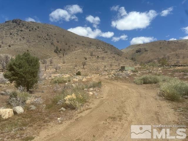 865 Eastside Rd, Coleville, CA 96107 - photo 21