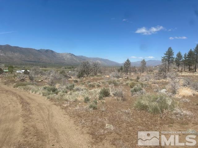 865 Eastside Rd, Coleville, CA 96107 - photo 22