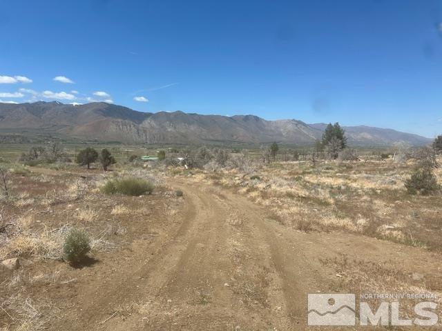 865 Eastside Rd, Coleville, CA 96107 - photo 23