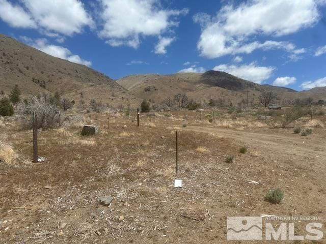 865 Eastside Rd, Coleville, CA 96107 - photo 27
