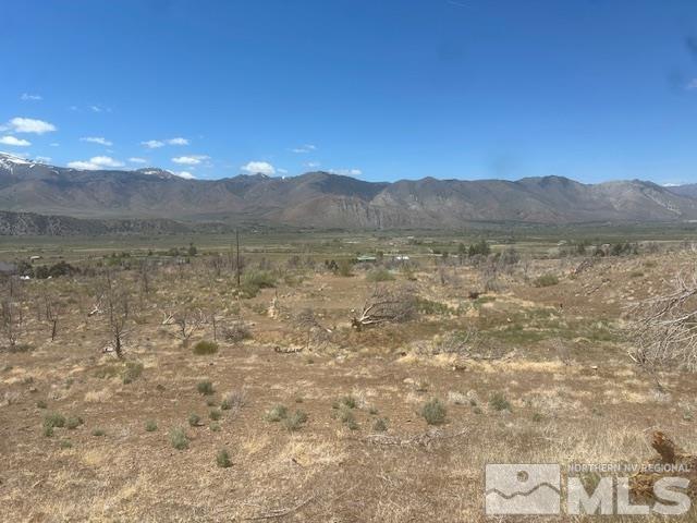 865 Eastside Rd, Coleville, CA 96107 - photo 28