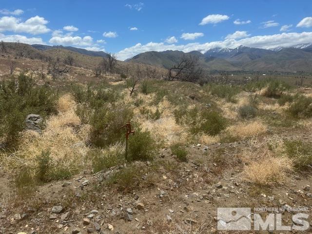 865 Eastside Rd, Coleville, CA 96107 - photo 30