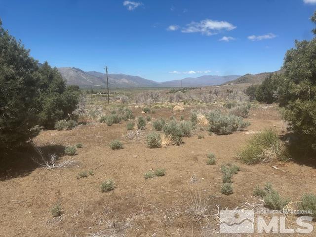 865 Eastside Rd, Coleville, CA 96107 - photo 31