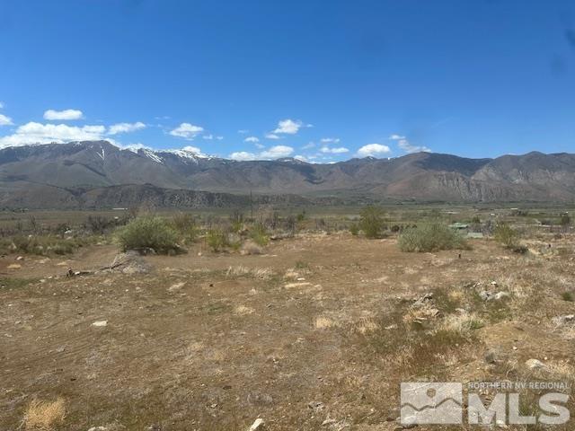 865 Eastside Rd, Coleville, CA 96107 - photo 32