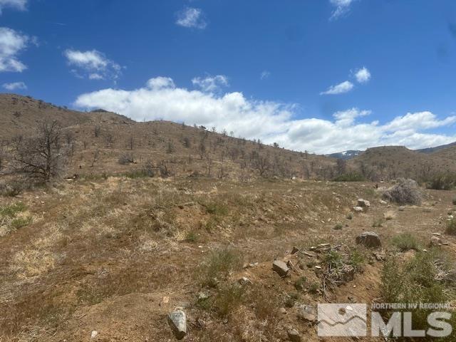 865 Eastside Rd, Coleville, CA 96107 - photo 33