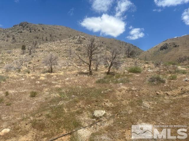 865 Eastside Rd, Coleville, CA 96107 - photo 34