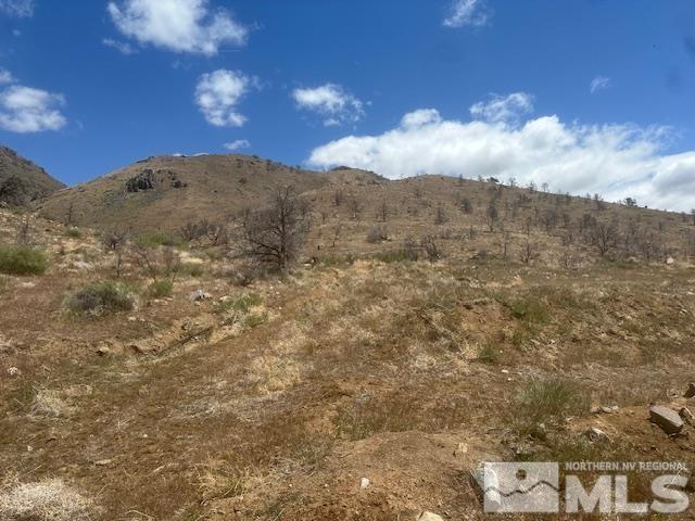 865 Eastside Rd, Coleville, CA 96107 - photo 35