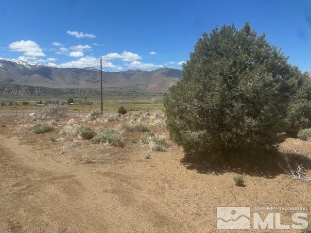 865 Eastside Rd, Coleville, CA 96107 - photo 36